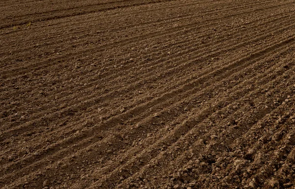 Zaorane puste pole — Zdjęcie stockowe