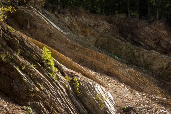 Flysch dos Cárpatos — Fotografia de Stock