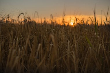 Gün batımında manzara
