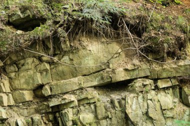 Karpat Flysch detay