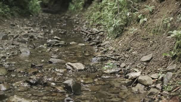 Pequeno Fluxo Com Água Limpa Dentro Vale Fluvial — Vídeo de Stock