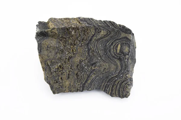 Stromatolite minerální izolované na bílém — Stock fotografie