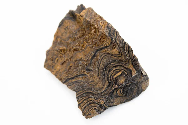 Строматолитный минерал, выделенный поверх белого — стоковое фото
