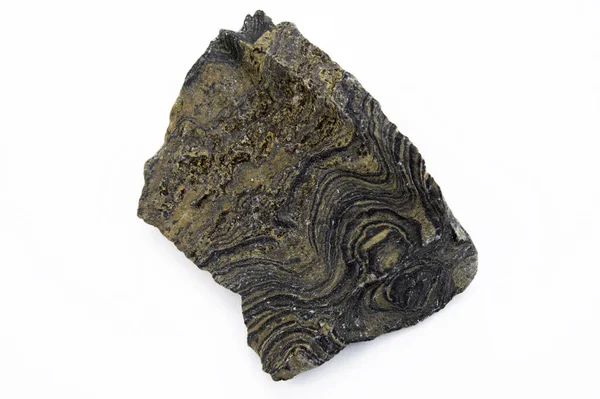 Stromatolite μεταλλικό απομονωθεί σε λευκό — Φωτογραφία Αρχείου