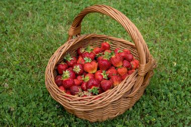 yumuşak ve tatlı çilek