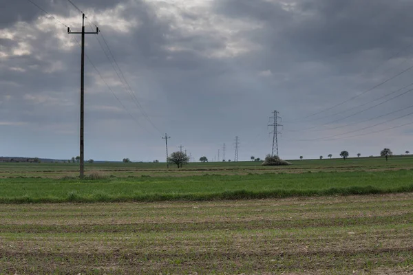 Felder mit Stromleitungen — Stockfoto