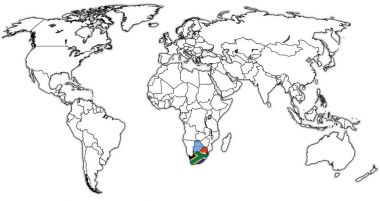 Güney Afrika Gümrük Birliği topraklarında Dünya Haritası