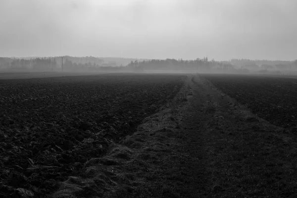 Fog over fields — Stock Photo, Image