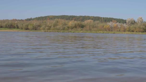 Медленное Движение Видео Вислы Польше Рядом Казимеж Дольным Осенний Сезон — стоковое видео