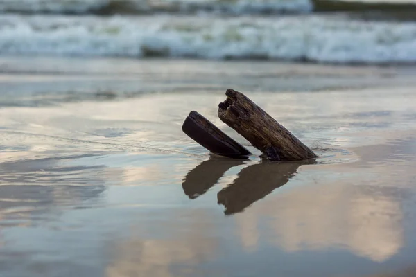 Paus estucados na praia — Fotografia de Stock