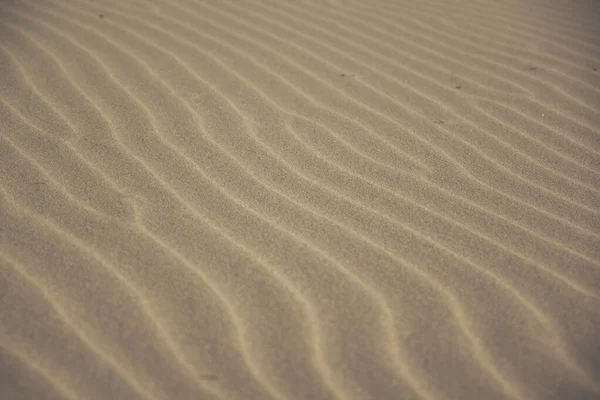 Vlnité skvrny na písečné pláži — Stock fotografie
