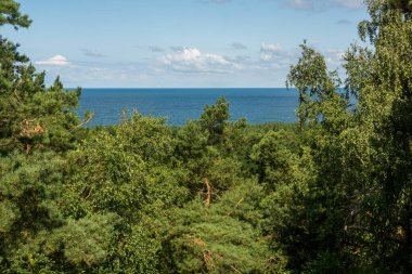  Ağaçların üzerinden görünen deniz.
