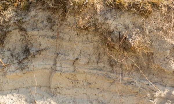 Soil on a sand — Stock Photo, Image