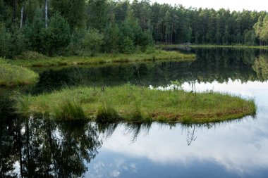 Disrofik bir göl üzerinde yüzen ada