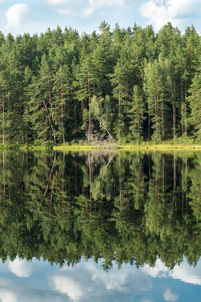 Forest reflection in calm water of dystrophic lake — Stock Photo, Image
