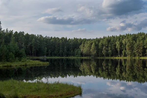 Forest reflection in calm water of dystrophic lake — Stock Photo, Image