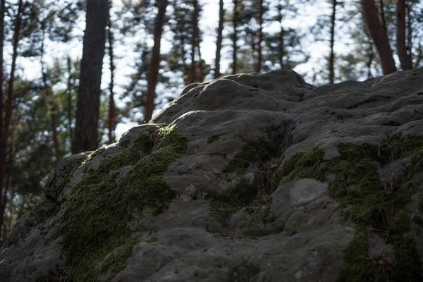 Détail de gros rochers de grès — Photo