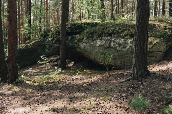 Paisagem com um grande arenito dentro de uma floresta — Fotografia de Stock