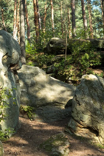 Chemin de terre entre les rochers de grès — Photo