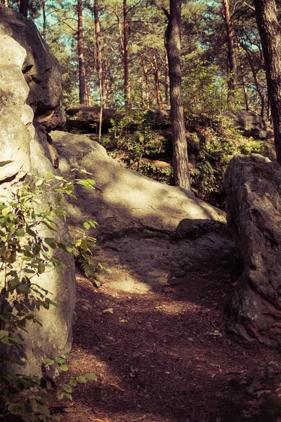 Chemin de terre entre les rochers de grès — Photo