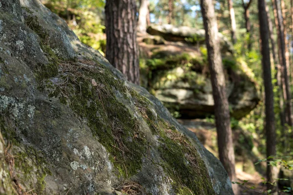 Detalhe de grandes rochas de arenito — Fotografia de Stock