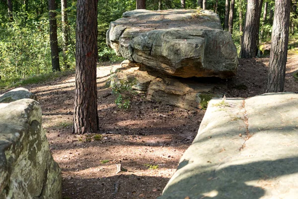 Paysage avec un grand grès à l'intérieur d'une forêt — Photo