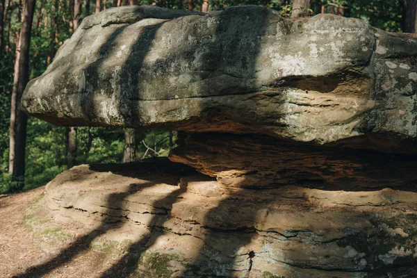 Polonya 'da mantar kayaları — Stok fotoğraf