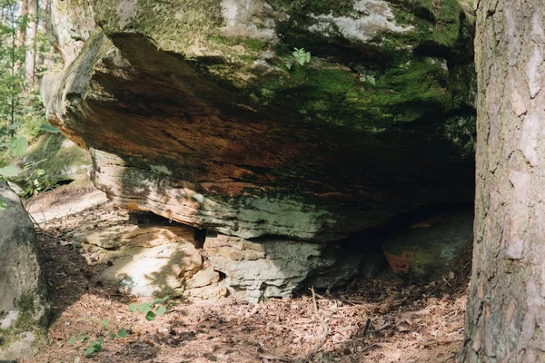 Detail of a mushroom rock — Stock Photo, Image