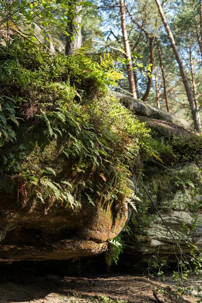 Detail of niche in mushroom rocks — Stock Photo, Image