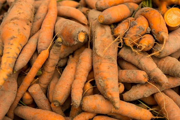 Zdrowe marchewki pokryte brudem — Zdjęcie stockowe