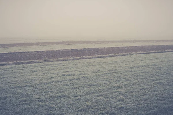 被霜冻覆盖的雾中的田野 — 图库照片