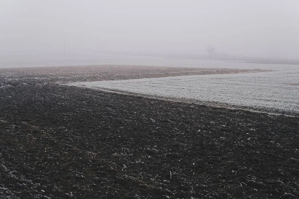 Fields in a fog covered with frost — Stock Photo, Image