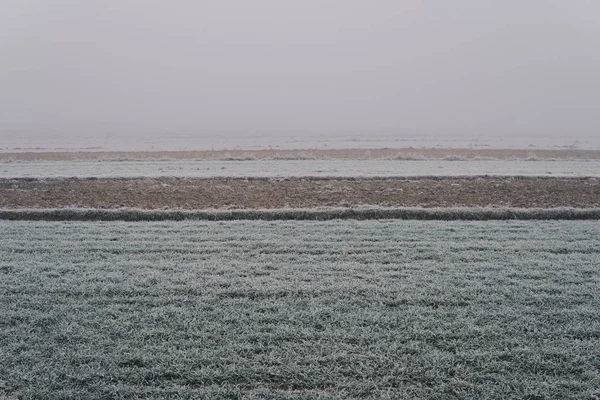 Fields in a fog covered with frost — Stock Photo, Image