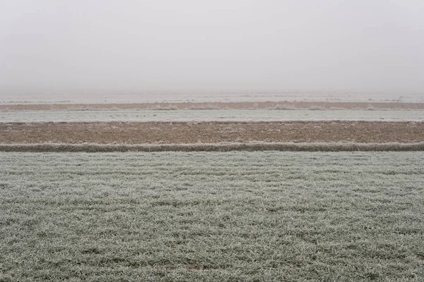 Pole v mlze pokryté mrazem — Stock fotografie