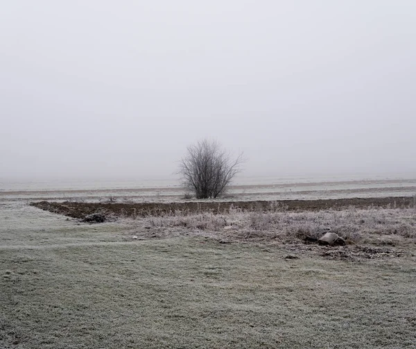 Mlhavá krajina na venkově — Stock fotografie