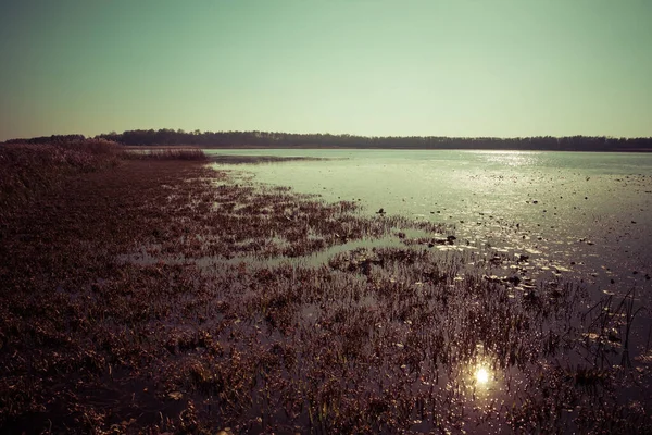 Fraagmite pe malul unui lac distrofic — Fotografie, imagine de stoc