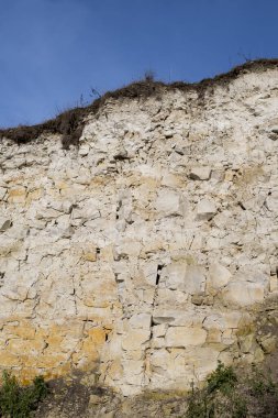 Solec Kujawski yakınlarında Polonya 'da dik yamaçlı beyaz kireçtaşı oluşumu