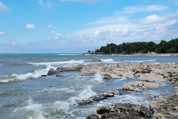 Deniz heyecanı — Stok fotoğraf