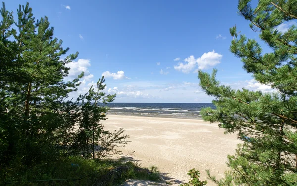 Piaszczysta plaża w Jurmala — Zdjęcie stockowe