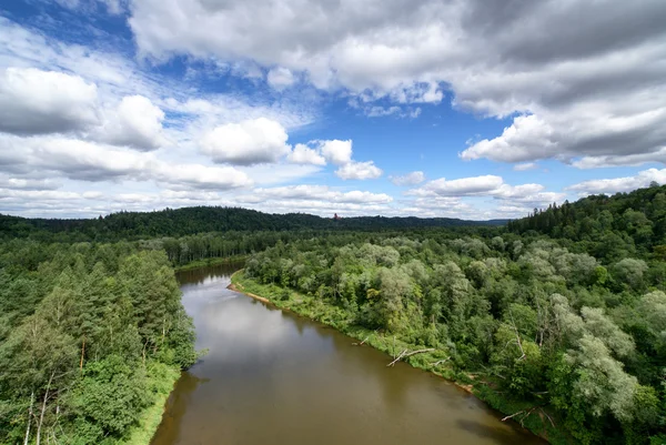 View of the river Gauja — Stock Photo, Image