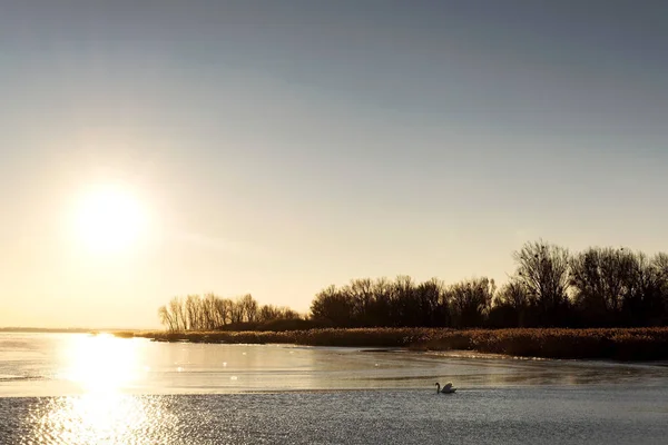 Sunset Lake Balaton Balatongyorok Hungary — Stock Photo, Image