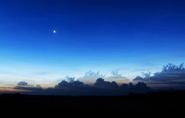 Луг під час заходу сонця — стокове фото