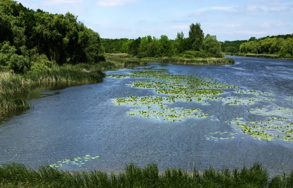 Paysage du lac Balaton, Hongrie — Photo