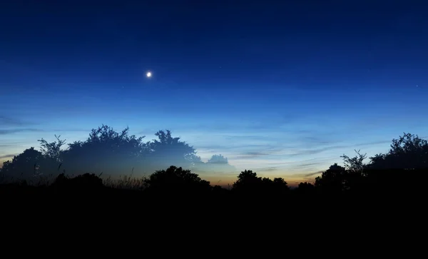 Луг під час заходу сонця — стокове фото