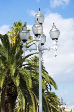 Sahilde palmiye ağaçları