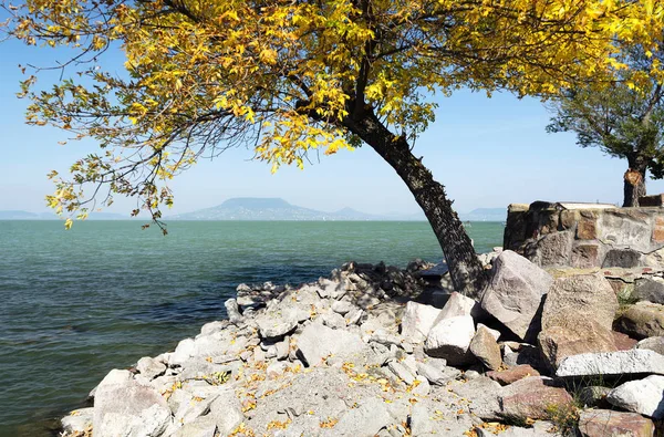 Detalle de costa en Fonyod en el lago Balaton — Foto de Stock