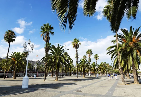 Port Vell Barcelona September 2017 Barcelona Spanien — Stockfoto