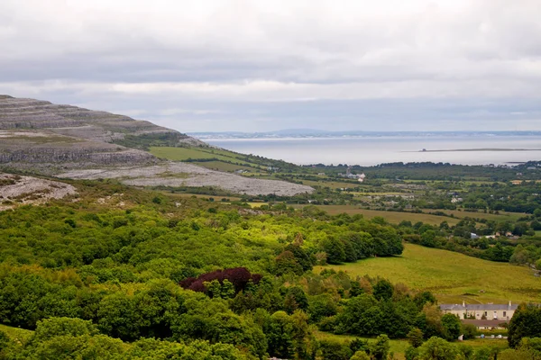 Naturaleza Verde Irlanda — Foto de Stock