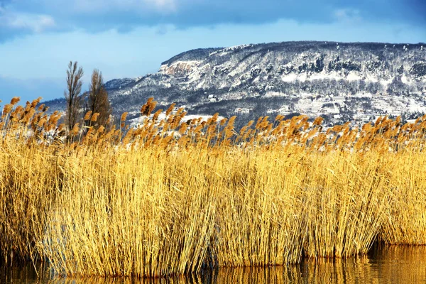 Krajobraz Jeziora Balaton Węgry — Zdjęcie stockowe