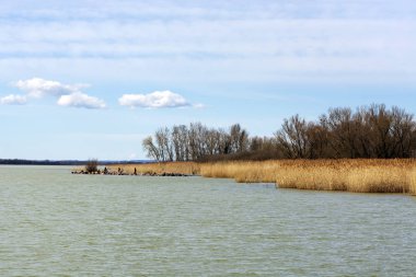 Manzaraya Balaton Gölü, Macaristan